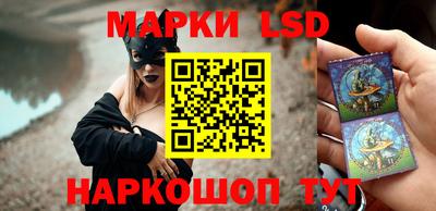 СК Краснодар